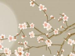 2022年兔子的運(yùn)勢 每月運(yùn)程