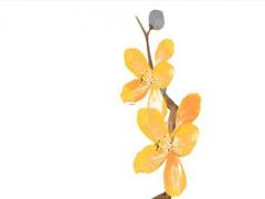 包含女孩名字寧的詩詞