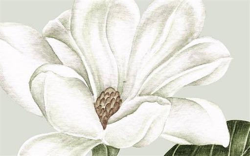 虎年運(yùn)氣好不好