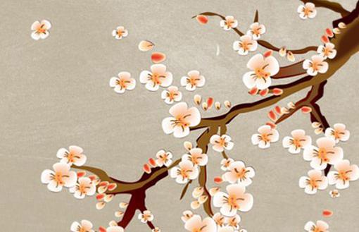 柏字男孩取名字含義 男寶寶名字大全 柏字男孩取名字含義 男寶寶名字大全