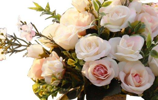 1981年6月一日是什么星座 1981年6月一日是什么星座