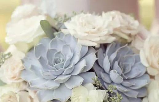 90年10月28日什么星座 90年10月28日什么星座