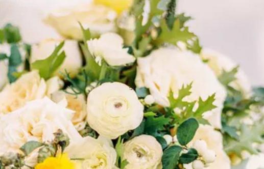 農(nóng)歷1995年2月29是什么星座 農(nóng)歷1995年2月29是什么星座