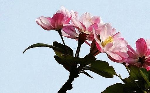 太歲之年如何化解