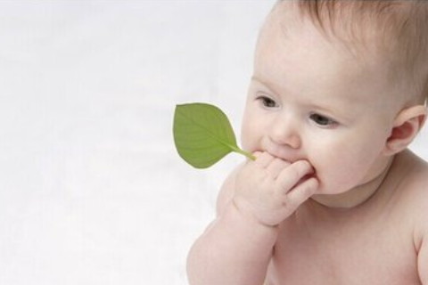 2022姓宋的女孩名字 衣食無憂