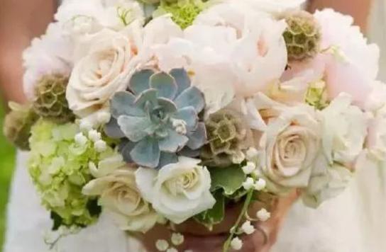 12星座女最花心 12星座女最花心