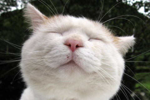 水瓶女會隨便跟人睡覺嗎 水瓶女危險的氣質