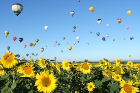 金牛男射手女配對嗎 金牛男喜歡射手女原因