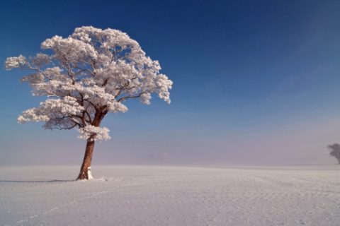 2個字ins超溫柔女生網(wǎng)名 好聽不易撞的仙女網(wǎng)名