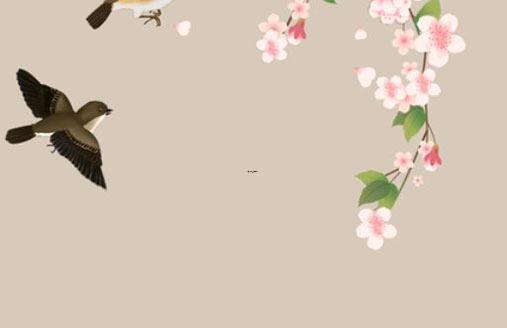 屬鼠人在什么年財運好 屬鼠人在什么年財運好