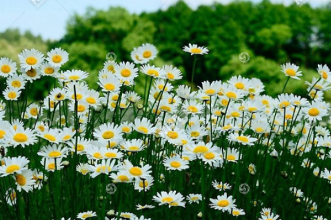 蛇夫座性格 為何蛇夫座會被剔除變成12星座
