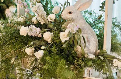 陽(yáng)歷211是什么星座 陽(yáng)歷211是什么星座