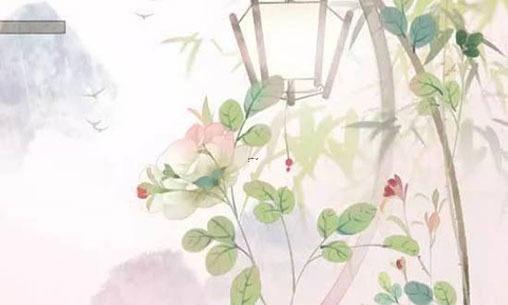 姓李屬虎男孩起什么名字