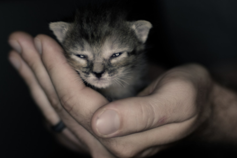 金牛男射手女配對嗎 金牛男喜歡射手女原因