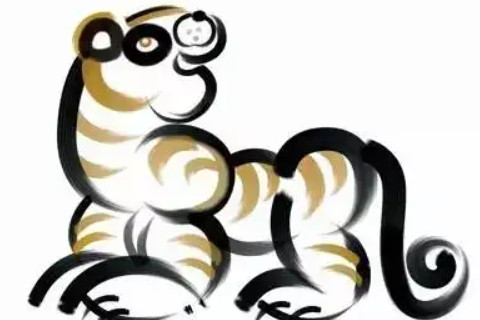 屬虎適合從事什么行業 適合制定策略的工作
