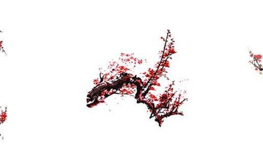 好聽的蔬菜水果店名字 蔬果店名字選集