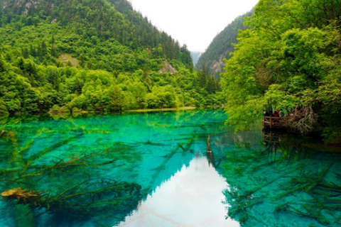 讓獅子男著迷的女人 怎么判斷獅子座動心了