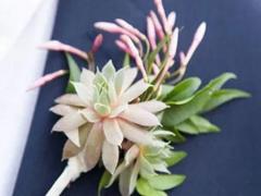 什么事情都能往危險地方想的星座有哪些