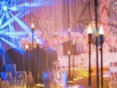 天資聰穎藝術技能滿分的星座女