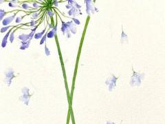 11歲女孩起名字