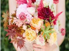 12月9陰歷是什么星座的