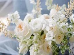 1985年11月26日農歷什么星座