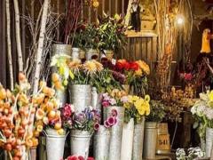 要說腳踏實地 這幾個星座實至名歸