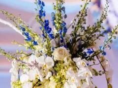 這五個星座最可能無所事事游手好閑