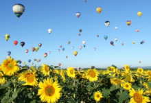 最寵雙子女的四大星座男 雙子座女生的性格特點