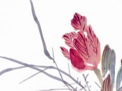 屬豬人2022年大爆發 八座眷顧事業大爆發