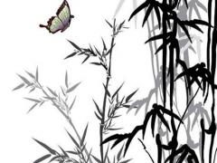 40分女孩子名字好嗎