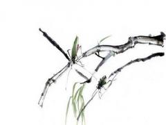 帶霞字的女孩名字 溫婉典雅女寶寶名字