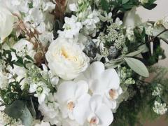 1979年12月18日什么星座