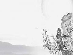 屬猴2022年各月運(yùn)勢(shì)大全