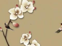 水瓶運勢2022運勢