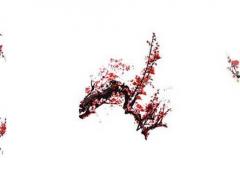 好聽的蔬菜水果店名字 蔬果店名字選集