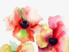 95年豬人2022年全年運勢及運程