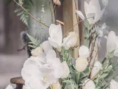 1996年5月8號(hào)上升星座