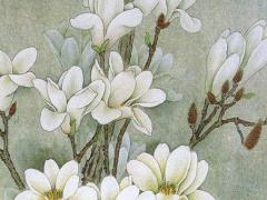 犯太歲2022年生肖是什么雞