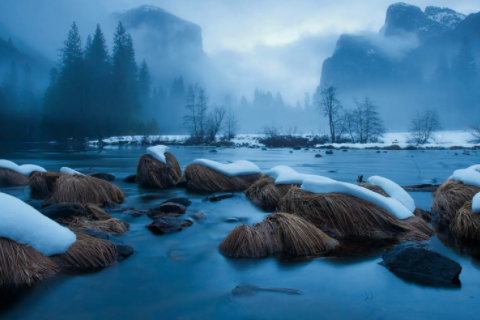 女人夢見貓咬手甩不掉 夢見貓咬手卻沒有流血