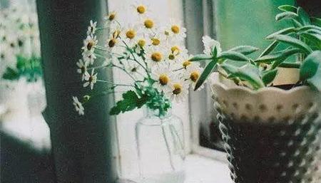 夢見死人復活是什么意思