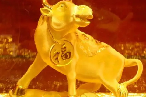 這些生肖非常膽小 生肖牛什么都不敢嘗試