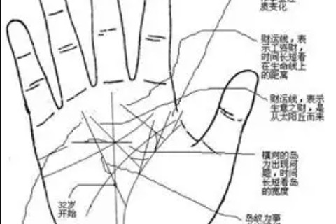 女人手指細長代表什么?有同情心浪漫主義