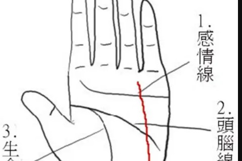 男女川字掌適合與什么類(lèi)型的人結(jié)婚