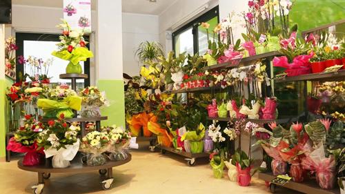 夢見牽著異性的手是什么意思 夢見牽著異性的手是什么意思