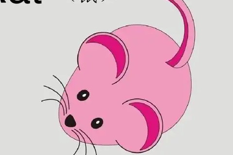 自我認知太過于自信的生肖?生肖鼠