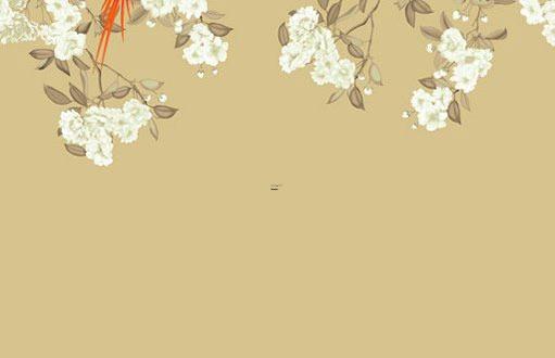 1987年兔2022年每月運勢運程 1987年兔2022年每月運勢運程