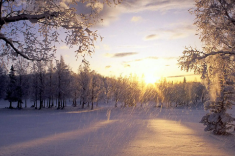 女人夢見下雨房子漏雨 夢見天花板上流水下來