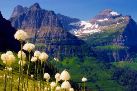 個性好聽的橙字取名 獨特有趣的橙字名字