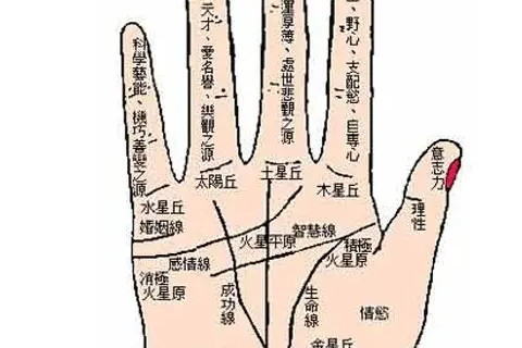 甲戌月是幾月